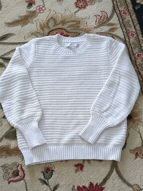 Loft Crew Neck Crochet Knit Sweater Off White Petite Small